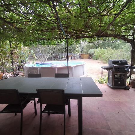 T2 Independant Terrasse Et Piscine Au Calme Var Sud De La France Flassans-sur-Issole Εξωτερικό φωτογραφία